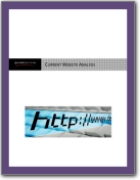 Website Analysis Guide